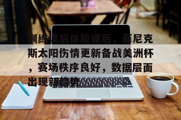包含训练课后体能课后，菲尼克斯太阳伤情更新备战美洲杯，赛场秩序良好，数据层面出现新趋势的词条-开云新版